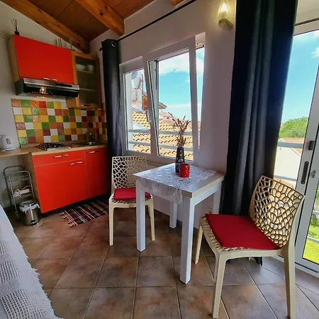 Apartment Zonta 800 M From *