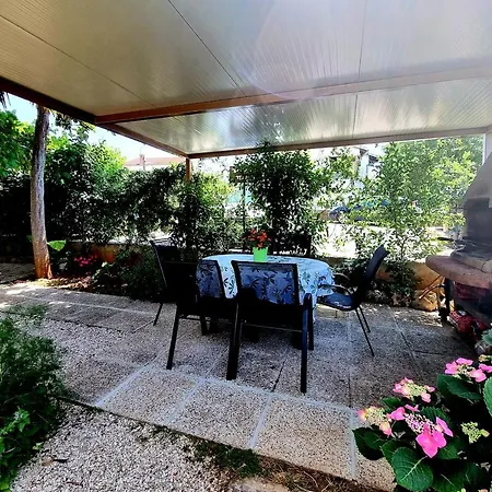 Apartment Zonta 800 M From *
